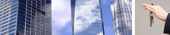 Global Link Group