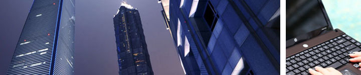 Global Link Group